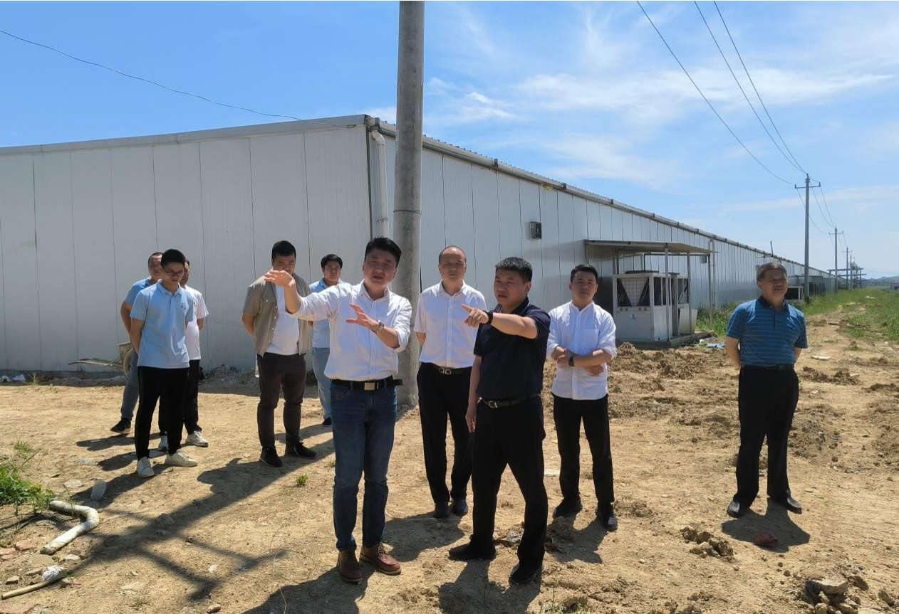 市國控集團黨委書記、董事長張志堅帶隊深入調研鄉(xiāng)村振興項目